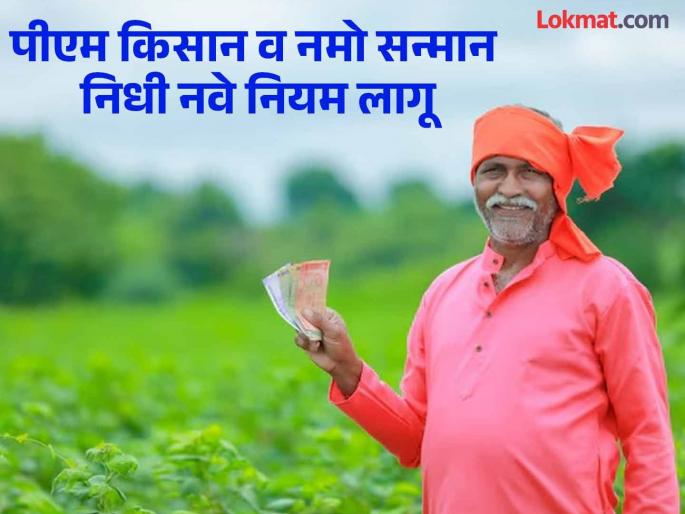 New rules for PM Kisan and Namo Samman; Benefit only if agriculture is registered before 2019 | पीएम किसान व नमो सन्मानसाठी नवे नियम; शेती २०१९ पूर्वी नावावर असेल, तरच लाभ New rules for PM Kisan and Namo Samman; Benefit only if agriculture is registered before 2019 | पीएम किसान व नमो सन्मानसाठी नवे नियम; शेती २०१९ पूर्वी नावावर असेल, तरच लाभ