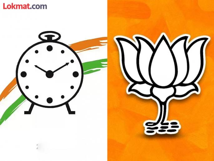 Out of four, BJP will have three constituencies, while NCP will have one constituency? | चारपैकी भाजपकडे तीन, तर राष्ट्रवादी काँग्रेसकडे राहणार एक मतदारसंघ? Out of four, BJP will have three constituencies, while NCP will have one constituency? | चारपैकी भाजपकडे तीन, तर राष्ट्रवादी काँग्रेसकडे राहणार एक मतदारसंघ?