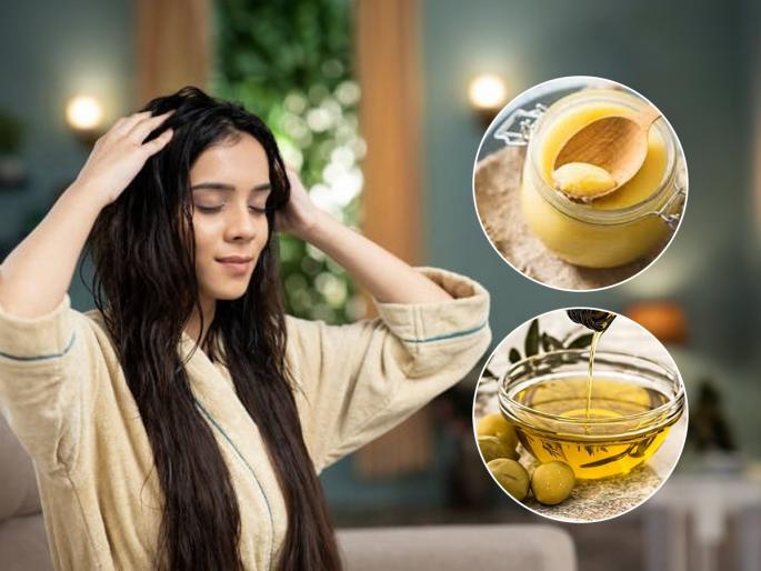 Desi ghee and olive oil mixture: Can it help regrow hair Surprising Facts About Ghee & Olive Oil Benefits For Hair | फक्त १ चमचा तूप आणि ४ थेंब ऑलिव्ह ऑइल-केसांचं गळणं कायमचं बंद करणारा भन्नाट उपाय...