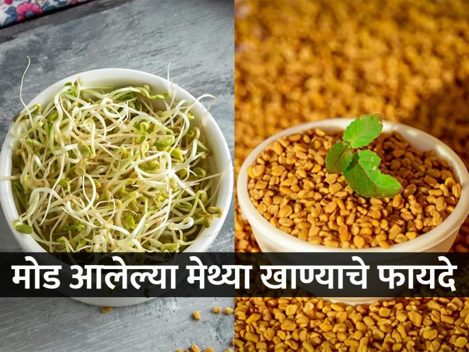 health expert says Methi sprouts is the real super food, health benefits of eating fenugreek sprouts regularly  | मोड आलेल्या मेथ्या म्हणजे सुपरफूड! डॉक्टर सांगतात, कोवळी मेथी लागेल कडू पण खा कारण..