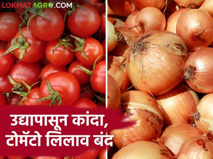 Latest News Nashik Market Yard Auctions closed in market committees in Nashik district on diwali 2024, read details | Nashik Market Yard : उद्यापासून नाशिक जिल्ह्यांत बाजार समित्यांमध्ये लिलाव बंद, वाचा सविस्तर Latest News Nashik Market Yard Auctions closed in market committees in Nashik district on diwali 2024, read details | Nashik Market Yard : उद्यापासून नाशिक जिल्ह्यांत बाजार समित्यांमध्ये लिलाव बंद, वाचा सविस्तर