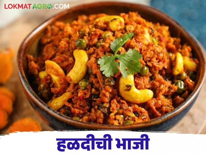 Latest News Halad Bhaji Importance of Turmeric in Winter, Make Turmeric Bhaji at Home, Read More   | Haladichi Bhaji : हिवाळ्यात हळदीला महत्व, अशी करा घरच्या घरी हळदीची भाजी, वाचा सविस्तर   Latest News Halad Bhaji Importance of Turmeric in Winter, Make Turmeric Bhaji at Home, Read More   | Haladichi Bhaji : हिवाळ्यात हळदीला महत्व, अशी करा घरच्या घरी हळदीची भाजी, वाचा सविस्तर