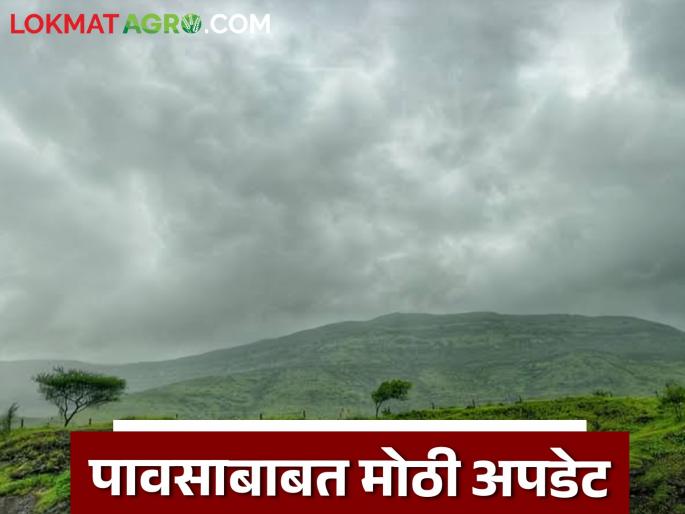 Maharashtra Rain Update now no chance of rain in Maharashtra, Know the weather forecast               | Maharashtra Rain Update : महाराष्ट्रात पावसाची शक्यता नाही, कारण... जाणून घ्या हवामान अंदाज              