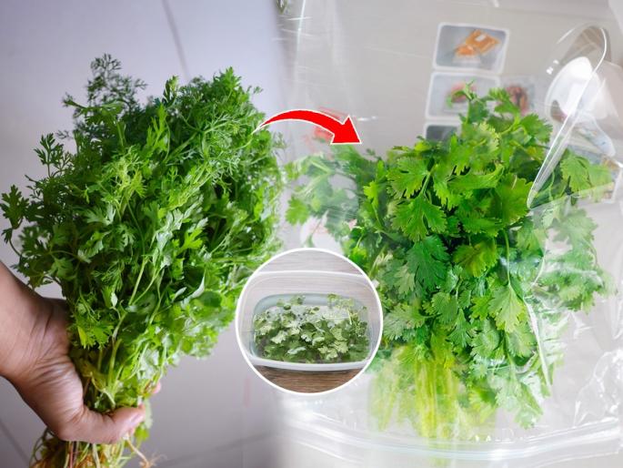 How To Store Cilantro (Kothimbir) So It Lasts For Weeks | फ्रिजमध्ये ठेवल्यावर हिरवी कोथिंबीर पिवळी होते? पाणी सुटते? १ ट्रिक; कोथिंबीर राहील फ्रेश