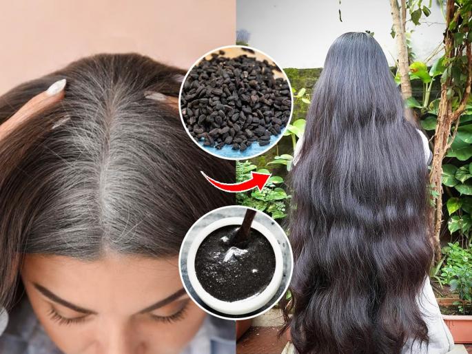 How To Get Black Hairs Naturally : Hair Care Tips How To Get Black Hairs Naturally | माथ्यावरचे केस पांढरे झाले? चमचाभर 'हे' दाणे केसांना लावा, डाय न करता काळेभोर होतील केस
