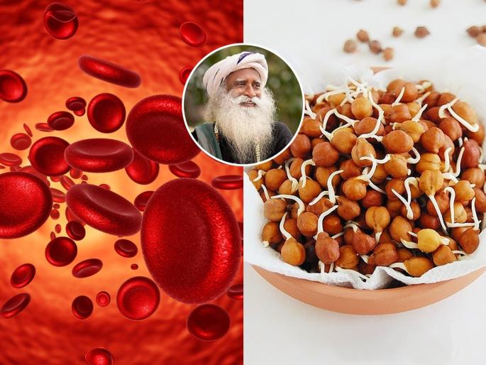 Sadguru Suggest 4 vegetarian Foods To Increase Hemoglobin And Iron Leve In Body And Beat Anemia Naturally | शरीरात रक्त कमी-अशक्तपणा आला? सद्गुरू सांगतात ४ पदार्थ खा, हिमोग्लोबीन भराभर वाढेल