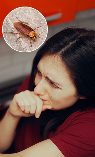 Social Viral: Women's hearts may skip a beat, but 4400 species of cockroaches exist; Read Jhuralpuran! | Social Viral: बायकांच्या काळजाचा ठोका चुकेल, पण ४४०० प्रजातीची झुरळं अस्तित्त्वात; वाचा झुरळपुराण! Social Viral: Women's hearts may skip a beat, but 4400 species of cockroaches exist; Read Jhuralpuran! | Social Viral: बायकांच्या काळजाचा ठोका चुकेल, पण ४४०० प्रजातीची झुरळं अस्तित्त्वात; वाचा झुरळपुराण!