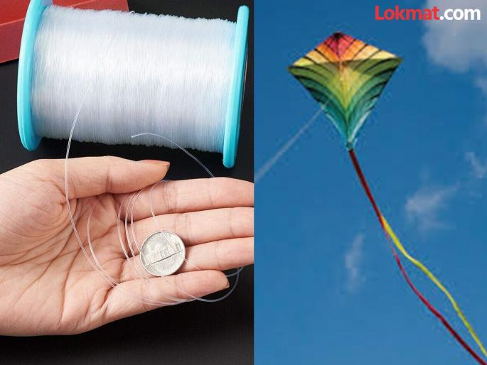 Pawani police initiate action against nylon threads selling | पवनी पोलिसांकडून नॉयलॉन मांज्याविरोधात कारवाईला सुरूवात Pawani police initiate action against nylon threads selling | पवनी पोलिसांकडून नॉयलॉन मांज्याविरोधात कारवाईला सुरूवात