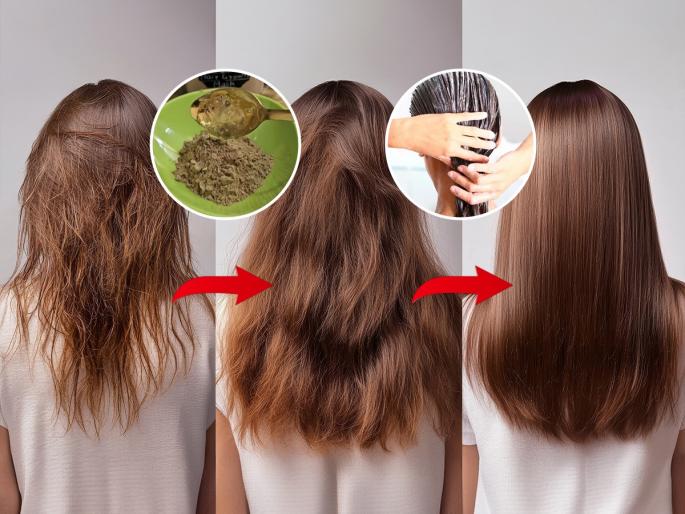 Homemade hair masks for hair growth Best Hair Growth Homemade Mask Homemade Hair Masks Will Give You Longer, Thicker Hair Instantly | काही केल्या केसांची वाढच होत नाही? वापरा चमचाभर 'ही' आयुर्वेदिक पावडर, केस होतील लांबसडक-दाट...