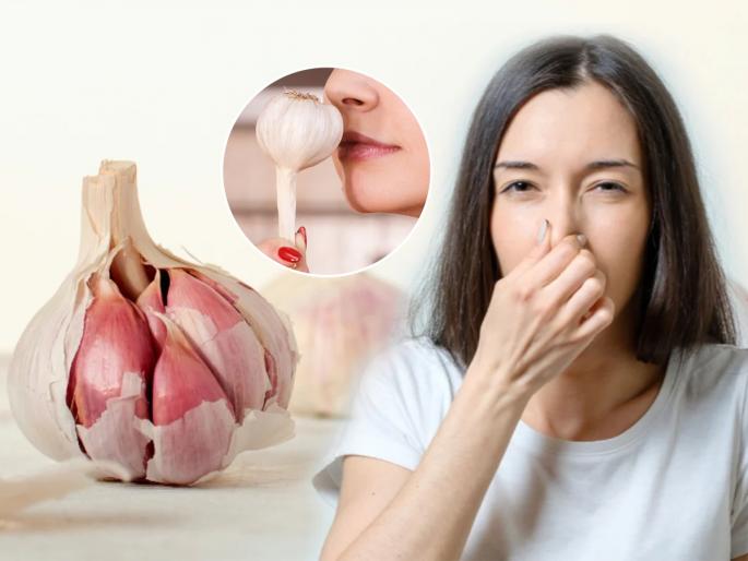 Don't Buy Garlic that Smells like Garlic Why You Should Avoid Buying Garlic That Smells Like Garlic MasterChef Pankaj Bhadouria Share Tips To Buy Fresh Garlic | आधीच लसूण महाग, त्यात चांगल्या क्वालिटीचा कोणता, हे कसं ओळखाल? शेफ पंकज सांगतात युक्ती...