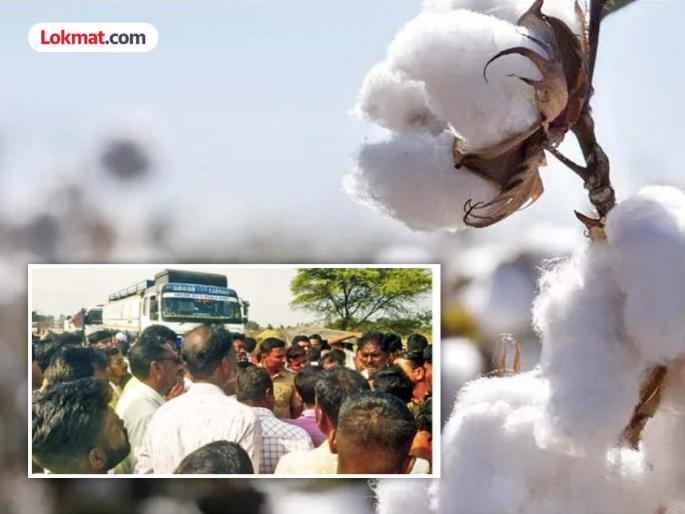 Weight discrepancy in ginning, cotton purchase stopped; Case filed against ginning owner | जिनिंगमध्ये वजनात तफावत, कापूस खरेदी पाडली बंद; जिनिंग मालकावर खटला दाखल Weight discrepancy in ginning, cotton purchase stopped; Case filed against ginning owner | जिनिंगमध्ये वजनात तफावत, कापूस खरेदी पाडली बंद; जिनिंग मालकावर खटला दाखल