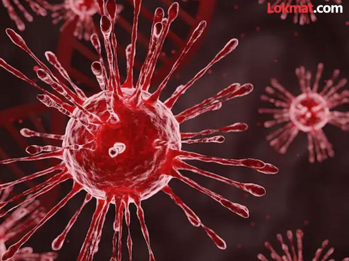case of hmpv virus reported in mumbai six month old girl discharged after treatment | HMPV Virus : धोक्याची घंटा! मुंबईत आढळला HMPV व्हायरसचा पहिला रुग्ण, ६ महिन्यांच्या मुलीला लागण case of hmpv virus reported in mumbai six month old girl discharged after treatment | HMPV Virus : धोक्याची घंटा! मुंबईत आढळला HMPV व्हायरसचा पहिला रुग्ण, ६ महिन्यांच्या मुलीला लागण