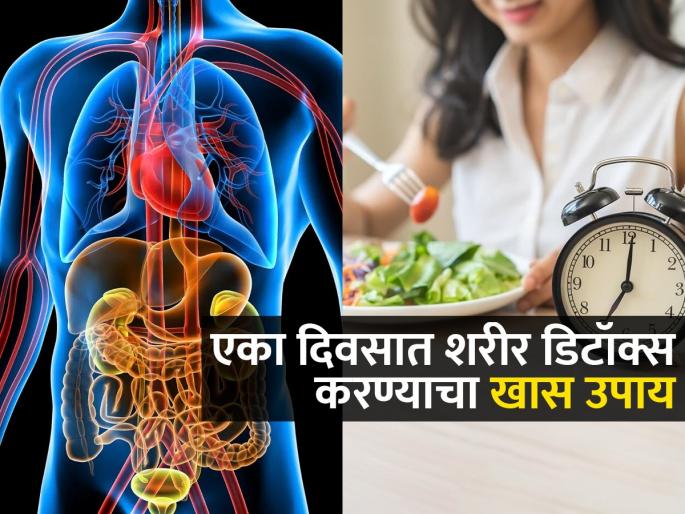 How To Detox Your Body In One Week Fastest Way To Flush Your Body Of Toxins | शरीर डिटॉक्स करण्याची खास टेक्निक; ५ गोष्टी करा, टॉक्सिन्स बाहेर निघतील, शरीर होईल निरोगी