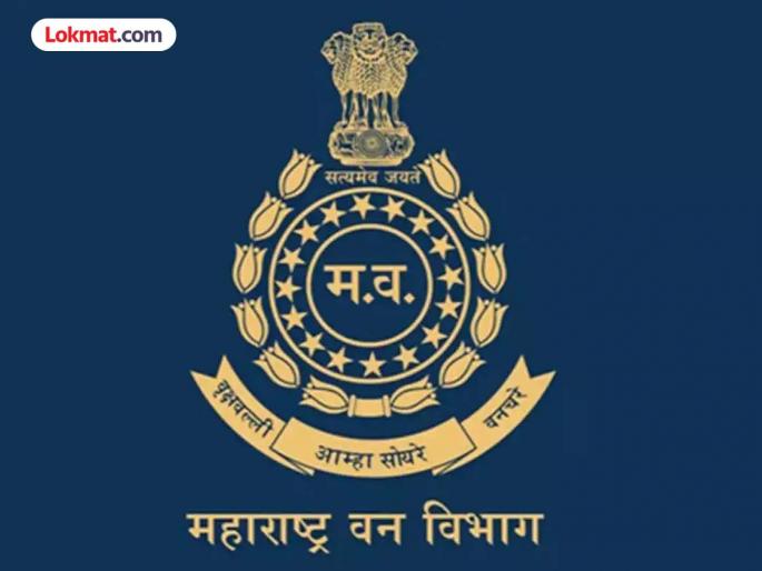 Whose organization provides manpower to the forest department? | वन विभागात मनुष्यबळ पुरवणारी संस्था कुणाची ? Whose organization provides manpower to the forest department? | वन विभागात मनुष्यबळ पुरवणारी संस्था कुणाची ?