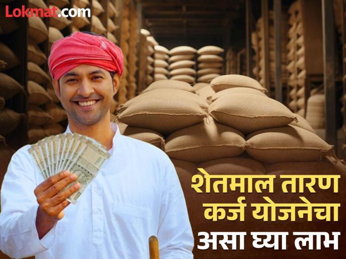 If not the price, then keep the pledge! Government's scheme for various farm products including paddy | भाव नाही, तर तारण ठेवा ! धानासह विविध शेत मालासाठी शासनाची योजना If not the price, then keep the pledge! Government's scheme for various farm products including paddy | भाव नाही, तर तारण ठेवा ! धानासह विविध शेत मालासाठी शासनाची योजना