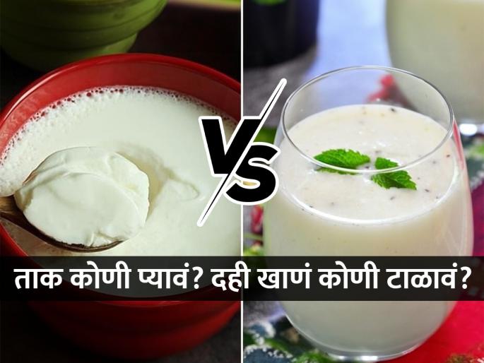 curd or buttermilk which one is more suitable for you as per your health? who should avoid eating curd, benefits of having buttermilk daily | दही की ताक? आपल्या आरोग्यासाठी दोन्हीपैकी अधिक चांगलं काय? हे घ्या खरंखुरं उत्तर..