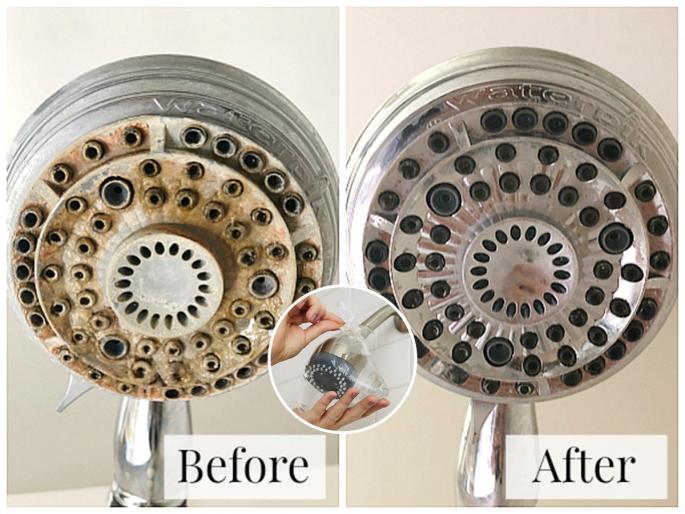 how to clean shower head, most easy and simple method of cleaning shower head without using brush | Shower Head Cleaning: शॉवरच्या छिद्रांमध्ये अडकलेली घाण हातही न लावता स्वच्छ करण्याचा भन्नाट उपाय 