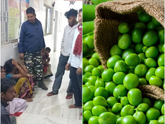 one and half year old child died due to the pea getting stuck in his windpipe lohardaga | हिरव्या वाटाण्याच्या एका दाण्याने घेतला दीड वर्षाच्या मुलाचा जीव; नेमकं काय घडलं? one and half year old child died due to the pea getting stuck in his windpipe lohardaga | हिरव्या वाटाण्याच्या एका दाण्याने घेतला दीड वर्षाच्या मुलाचा जीव; नेमकं काय घडलं?