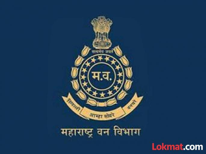 Three forest officials suspended in case of irregularities in plantation | रोपवनात अनियमितता प्रकरणी तीन वन अधिकारी निलंबित Three forest officials suspended in case of irregularities in plantation | रोपवनात अनियमितता प्रकरणी तीन वन अधिकारी निलंबित