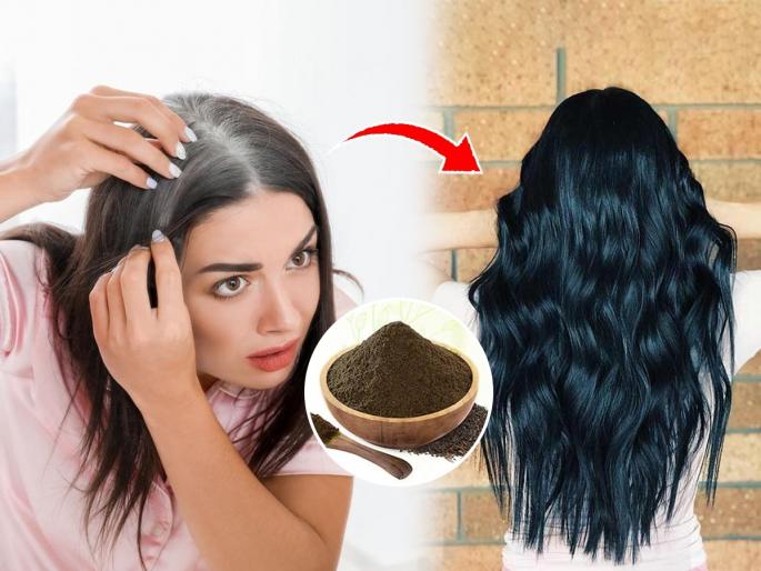 How to prevent premature white hair drink this ayurvedic tea hair falls issue stop | चहा पिऊन केस काळे होतील? विश्वास बसणार नाही, पण पाहा ही भन्नाट युक्ती