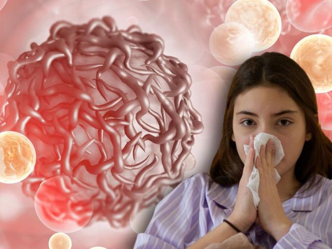 Swine Flu cases spikes in india know symptoms precautions | Swine Flu : भय इथले संपत नाही! भारतात वेगाने वाढतोय स्वाइन फ्लूचा धोका; 'ही' लक्षणं दिसताच व्हा अलर्ट