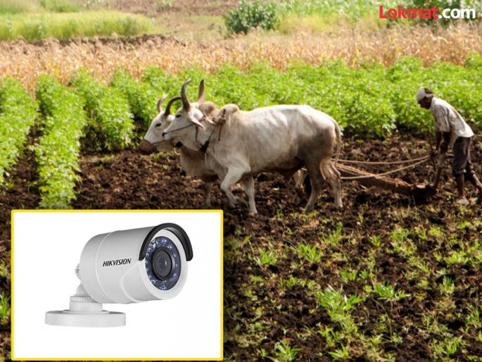 Farmers install CCTV cameras on farmland to protect against wild animals and thieves | शेतकऱ्यांनी वन्यप्राणी व चोरट्यांपासून बचाव करण्यासाठी शेतजमिनीवरच लावले सीसीटीव्ही कॅमेरे Farmers install CCTV cameras on farmland to protect against wild animals and thieves | शेतकऱ्यांनी वन्यप्राणी व चोरट्यांपासून बचाव करण्यासाठी शेतजमिनीवरच लावले सीसीटीव्ही कॅमेरे