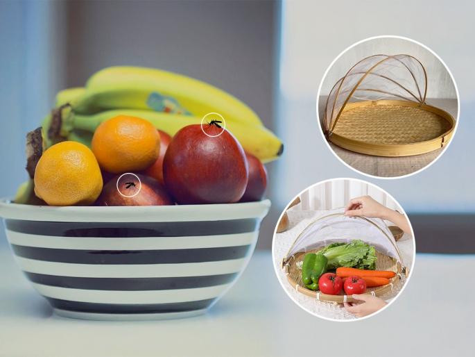 Bamboo Tent Basket Pop Up Mesh Net Cover Basket Bamboo Fruit Basket | किचनमधील फळं आणि पदार्थांवर माशा - चिलटं घोंगावतात? आणा 'बांबू नेट बास्केट'- जगात भारी वस्तू...