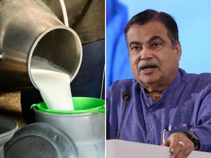 Only then will milk production increase in Vidarbha and farmers become self-reliant. | तरच विदर्भात दूध उत्पादन वाढेल आणि शेतकरी आत्मनिर्भर होतील Only then will milk production increase in Vidarbha and farmers become self-reliant. | तरच विदर्भात दूध उत्पादन वाढेल आणि शेतकरी आत्मनिर्भर होतील