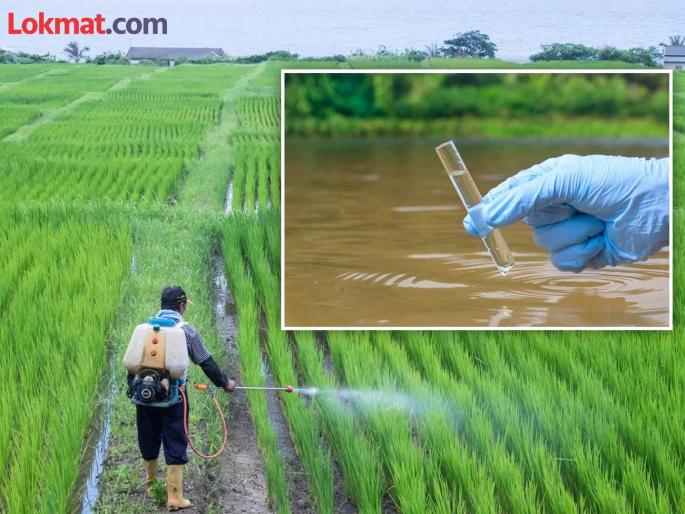 Nitrate levels have increased in water sources in the district; Has water pollution increased due to the use of chemicals in agriculture? | जिल्ह्यातील जलस्रोतांमध्ये नायट्रेटचे प्रमाण वाढले; शेतातील रसायनांच्या वापरामुळे जल प्रदूषण वाढले का? Nitrate levels have increased in water sources in the district; Has water pollution increased due to the use of chemicals in agriculture? | जिल्ह्यातील जलस्रोतांमध्ये नायट्रेटचे प्रमाण वाढले; शेतातील रसायनांच्या वापरामुळे जल प्रदूषण वाढले का?