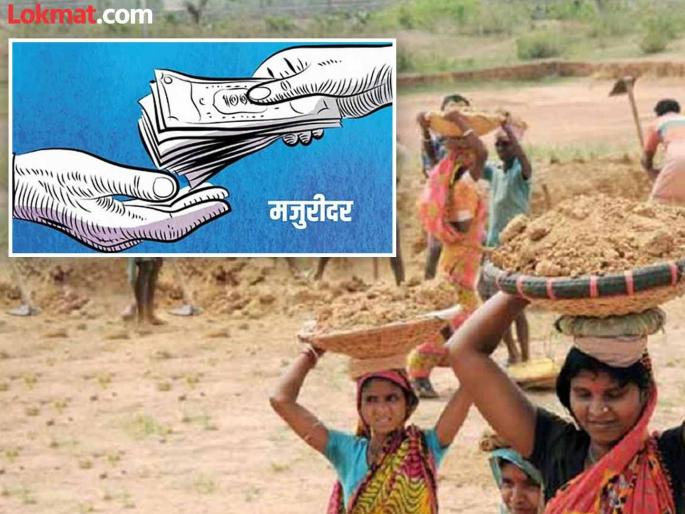 Haryana has the highest rate of illegal labour in the country, but Maharashtra lags behind | देशात रोहयो मजुरीचा सर्वाधिक दर हरयाणात, महाराष्ट्र मात्र पिछाडीवर Haryana has the highest rate of illegal labour in the country, but Maharashtra lags behind | देशात रोहयो मजुरीचा सर्वाधिक दर हरयाणात, महाराष्ट्र मात्र पिछाडीवर