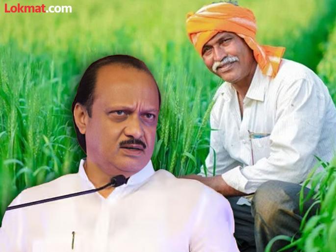 Farmers paid crop loans worth Rs 205 crore on the advice of the Deputy Chief Minister | उपमुख्यमंत्र्यांच्या सांगण्यावरून शेतकऱ्यांनी भरले २०५ कोटींचे पीक कर्ज Farmers paid crop loans worth Rs 205 crore on the advice of the Deputy Chief Minister | उपमुख्यमंत्र्यांच्या सांगण्यावरून शेतकऱ्यांनी भरले २०५ कोटींचे पीक कर्ज