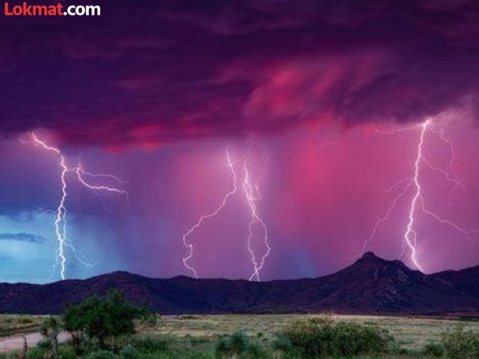 4 killed in lightning strikes in Bhandara, Yavatmal, Washim due to unseasonal rains | अवकाळी पावसामुळे भंडारा, यवतमाळ, वाशिममध्ये वीज कोसळून ४ ठार 4 killed in lightning strikes in Bhandara, Yavatmal, Washim due to unseasonal rains | अवकाळी पावसामुळे भंडारा, यवतमाळ, वाशिममध्ये वीज कोसळून ४ ठार