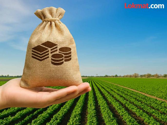 90 percent of current crop loans and 2 percent of outstanding crop loans have been recovered from farmers | शेतकऱ्यांकडून चालू पीककर्जाची ९० टक्के तर थकित पीककर्जाची झाली २ टक्के वसुली 90 percent of current crop loans and 2 percent of outstanding crop loans have been recovered from farmers | शेतकऱ्यांकडून चालू पीककर्जाची ९० टक्के तर थकित पीककर्जाची झाली २ टक्के वसुली