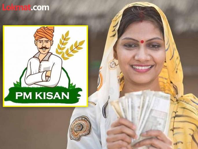 PM Kisan beneficiaries stopped receiving benefits of Ladki Bhain Yojana | पीएम किसानच्या लाभार्थ्यांना लाडकी बहीण योजनेचा लाभ देणे बंद
