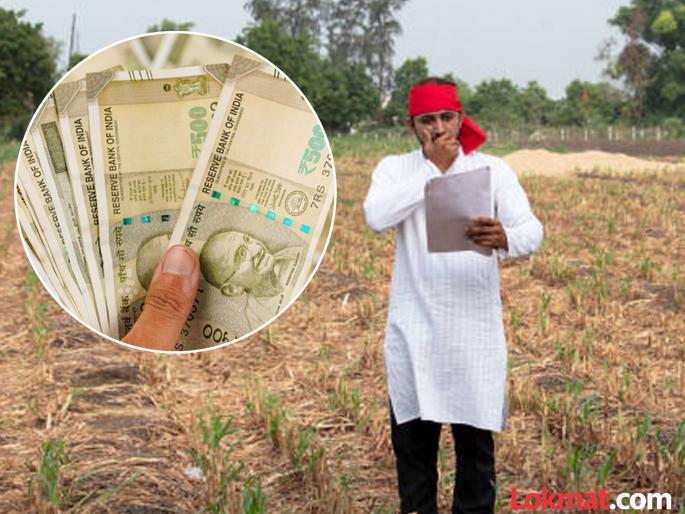 First, farmers forgot politicians' loan waiver announcements and now they are missing out on interest waivers too. | आधी शेतकरी राजकारण्यांच्या कर्जमाफीच्या घोषणांना भुल्ले आणि आता व्याजमाफीलाही मुकले First, farmers forgot politicians' loan waiver announcements and now they are missing out on interest waivers too. | आधी शेतकरी राजकारण्यांच्या कर्जमाफीच्या घोषणांना भुल्ले आणि आता व्याजमाफीलाही मुकले