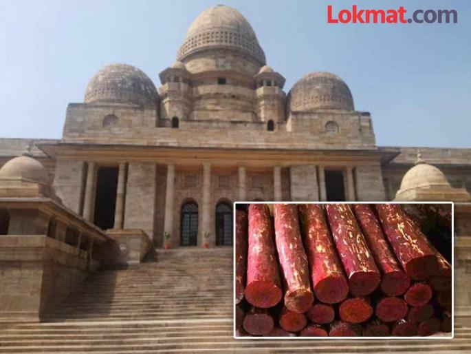 Interim compensation of one crore rupees for one red sandalwood tree | रक्तचंदनाच्या एका झाडासाठी एक कोटीची अंतरिम भरपाई