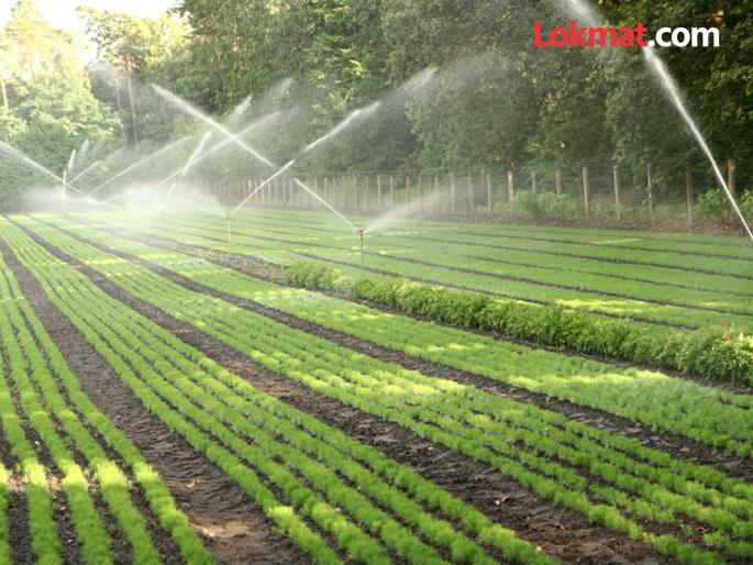 Palandur remains dry even after 40 years! Farmers demand water for irrigation | ४० वर्षांतही पालांदूर कोरडाच ! सिंचनाकरिता पाणी देण्याची शेतकऱ्यांची मागणी Palandur remains dry even after 40 years! Farmers demand water for irrigation | ४० वर्षांतही पालांदूर कोरडाच ! सिंचनाकरिता पाणी देण्याची शेतकऱ्यांची मागणी