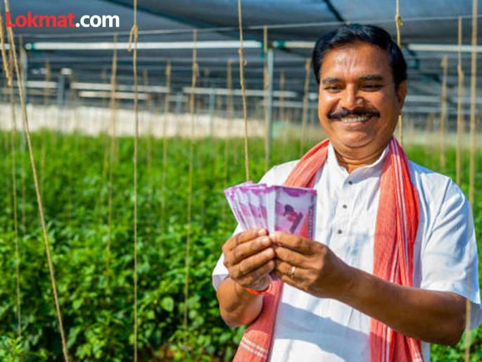 A fund of Rs 250 crore will be required to provide bonuses to farmers. | शेतकऱ्यांना बोनस देण्यासाठी लागणार २५० कोटी रुपयांचा निधी A fund of Rs 250 crore will be required to provide bonuses to farmers. | शेतकऱ्यांना बोनस देण्यासाठी लागणार २५० कोटी रुपयांचा निधी