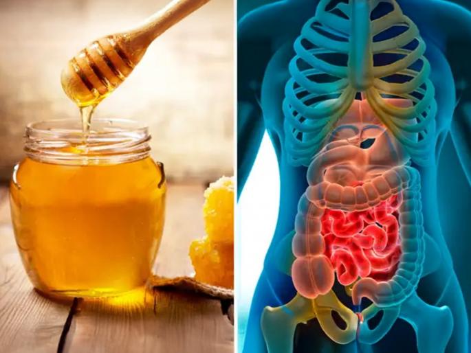ayurvedic doctor rekha radhamony told best way to eat honey for health benefits otherwise it increase harmful toxins | मध अत्यंत गुणकारी, पण चुकीच्या पद्धतीने खातात ९०% लोक; शरीरासाठी ठरतंय विष