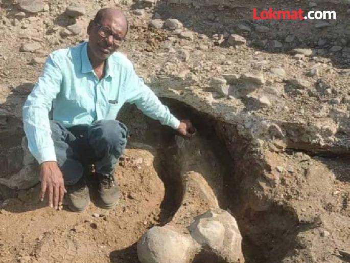 Fossils of Stegodon elephant found in Wardha-Painganga river basin | वर्धा-पैनगंगा नदी पात्रात आढळले स्टेगोडॉन हत्तीचे जीवाश्म Fossils of Stegodon elephant found in Wardha-Painganga river basin | वर्धा-पैनगंगा नदी पात्रात आढळले स्टेगोडॉन हत्तीचे जीवाश्म