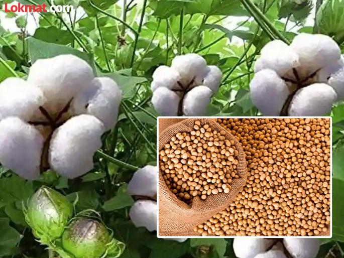 Farmers prepare for Kharif; Demand for 70 thousand quintals of seeds | शेतकऱ्यांची खरिपाची तयारी; तब्बल ७० हजार क्विंटल बियाण्यांची केली मागणी