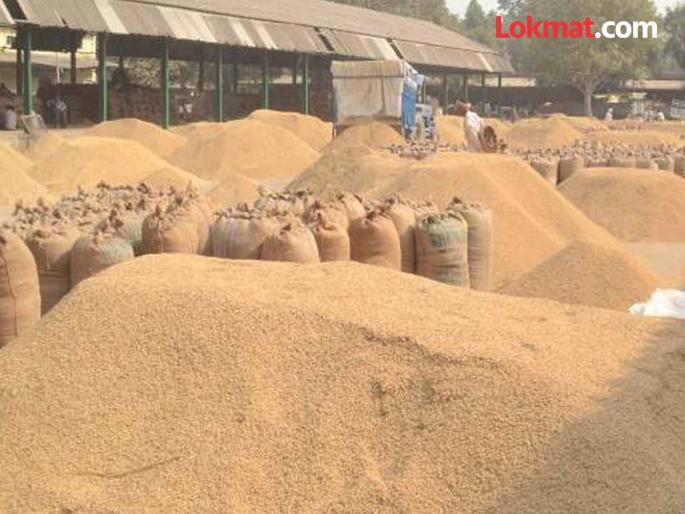 Paddy scam worth Rs 4 crore: Absconding sub-regional manager faces suspension | चार कोटी रुपयांच्या धान घोटाळा : फरार उपप्रादेशिक व्यवस्थापकास निलंबनाचा दणका Paddy scam worth Rs 4 crore: Absconding sub-regional manager faces suspension | चार कोटी रुपयांच्या धान घोटाळा : फरार उपप्रादेशिक व्यवस्थापकास निलंबनाचा दणका