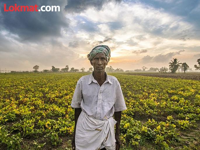 Why is the crop insurance amount so low? Farmers' angry question | पीक विम्याची रक्कम अत्यल्प का? शेतकऱ्यांचा संतापजनक सवाल