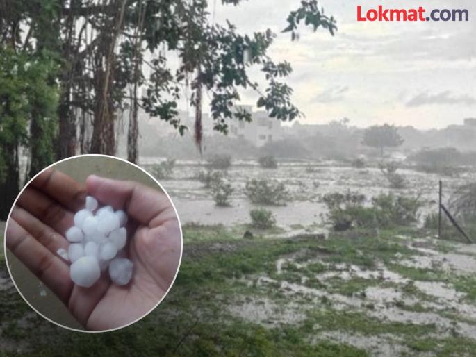 Thunderstorms with hailstorm hit 13 villages; Pombhurya hit for the second time | गारपिटीसह वादळी पावसाने १३ गावांना झोडपले; पोंभूर्याला दुसऱ्यांदा फटका