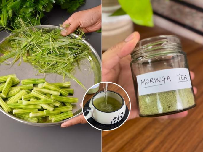 moringa leaves and peels are benefits for health drink moringa tea every day lose lot of weight | शेवग्याची शेंगच नाही तर सालं देखील फायदेशीर! रोज प्या शेवग्याचा चहा, वजन होईल भरभर कमी