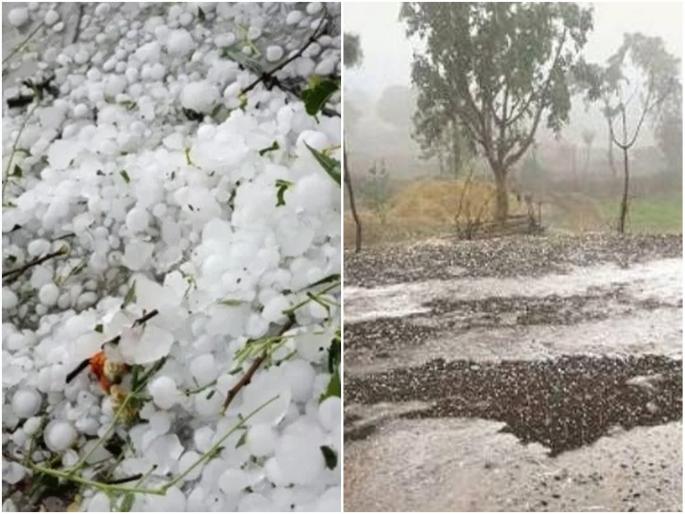 Two days of unseasonal rains damage crops on 3832 hectares in the district | दोन दिवसांच्या अवकाळीच्या नेहराने जिल्ह्यातील ३८३२ हेक्टरवरील पिकांचे नुकसान