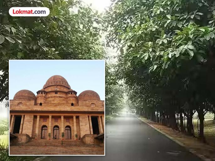 High Court's warning! Interim stay on cutting of 1,347 trees | हायकोर्टाचा दणका ! १ हजार ३४७ झाडे तोडण्याला अंतरिम स्थगिती High Court's warning! Interim stay on cutting of 1,347 trees | हायकोर्टाचा दणका ! १ हजार ३४७ झाडे तोडण्याला अंतरिम स्थगिती