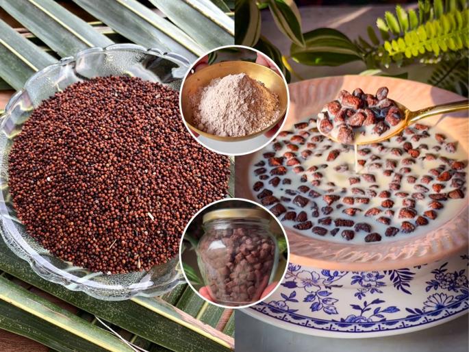 how to make ragi Choco puff at home healthy and tasty recipe nutritious food | आता घरच्या घरी करा 'रागी चोकोस पफ', हेल्दी आणि पौष्टिक पदार्थ, विकतपेक्षा भारी चव