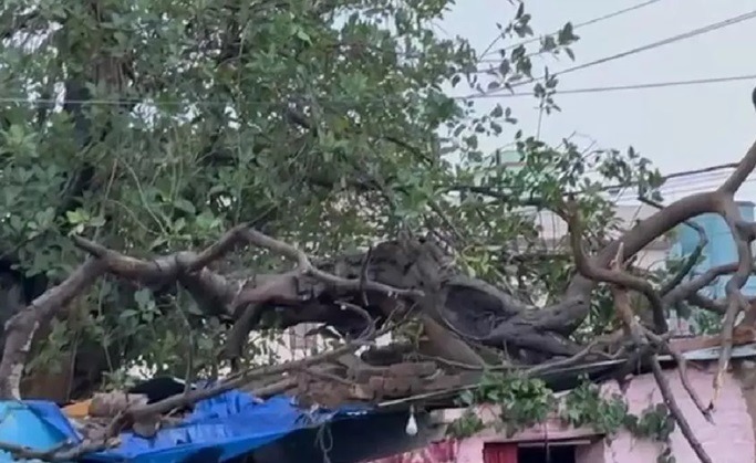 Delhi Rains unseasonal storm rain devastated ajay family wife jyoti three children returned delhi from kanpur village 20 days ago dies | Delhi Rains : हृदयद्रावक! मुसळधार पावसामुळे उद्ध्वस्त झालं कुटुंब; २० दिवसांपूर्वी आलेल्या ४ जणांचा मृत्यू