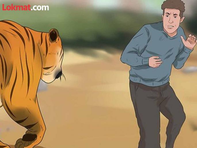 Tiger kills a man in village on inter-state border | आंतरराज्य सीमेवरील गावात वाघाने इसमाच्या नरडीचा घेतला घोट Tiger kills a man in village on inter-state border | आंतरराज्य सीमेवरील गावात वाघाने इसमाच्या नरडीचा घेतला घोट